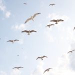 HSPはつらいよ。社会で生きづらいけど同じHSPさんに伝えたい。