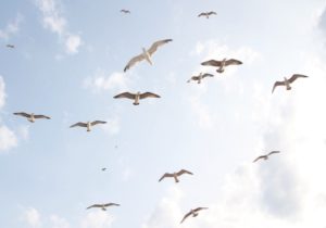 HSPはつらいよ。社会で生きづらいけど同じHSPさんに伝えたい。