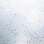 職場の人に嫌われていることがつらい時、心を落ち着ける方法