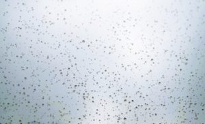 職場の人に嫌われていることがつらい時、心を落ち着ける方法