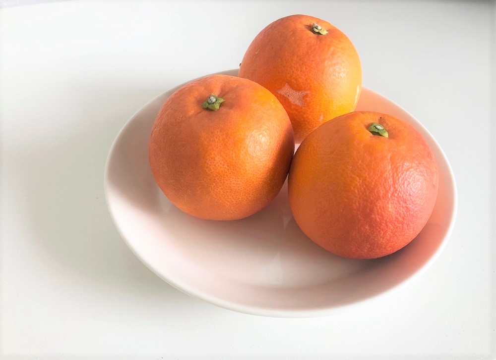 タロッコオレンジってどんな果物？　買って食べてみました。