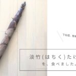 下処理簡単！ 淡竹（はちく）たけのこを食べました。
