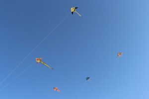 2024年、年賀状の整理を行いました